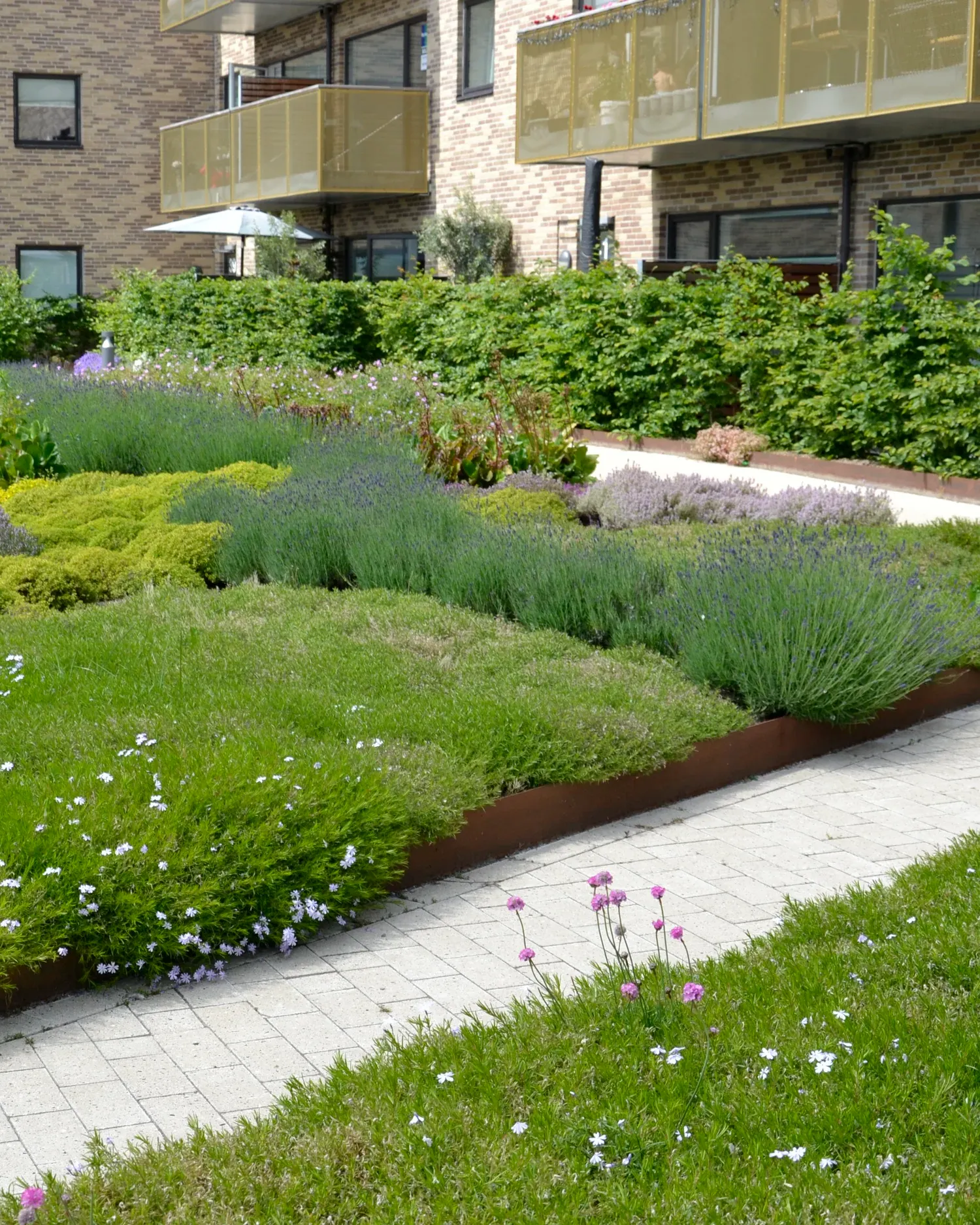 Børn leger ved et regnvandsforløb med synlige render og småtrin