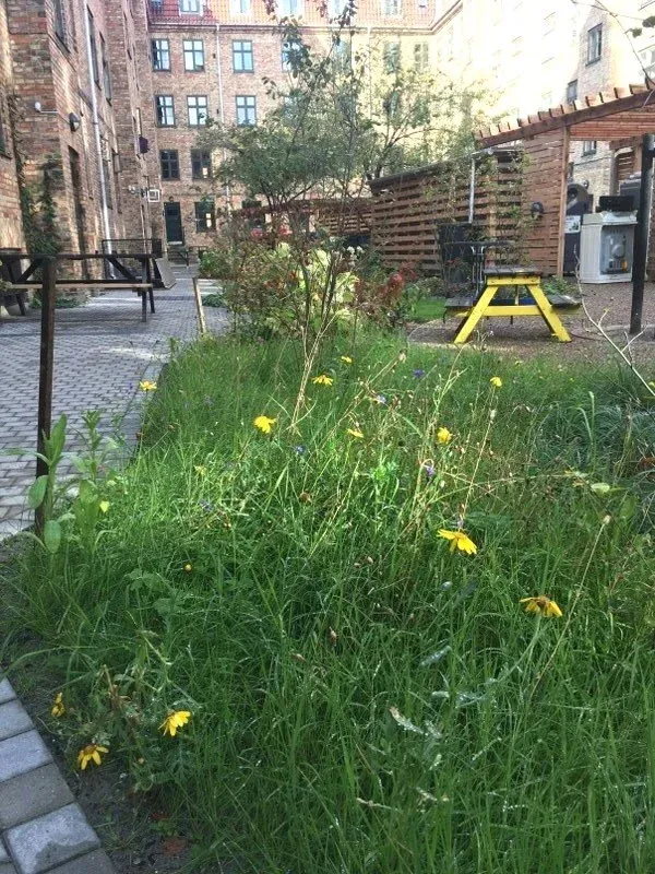 Regnvandshave med målepunkter