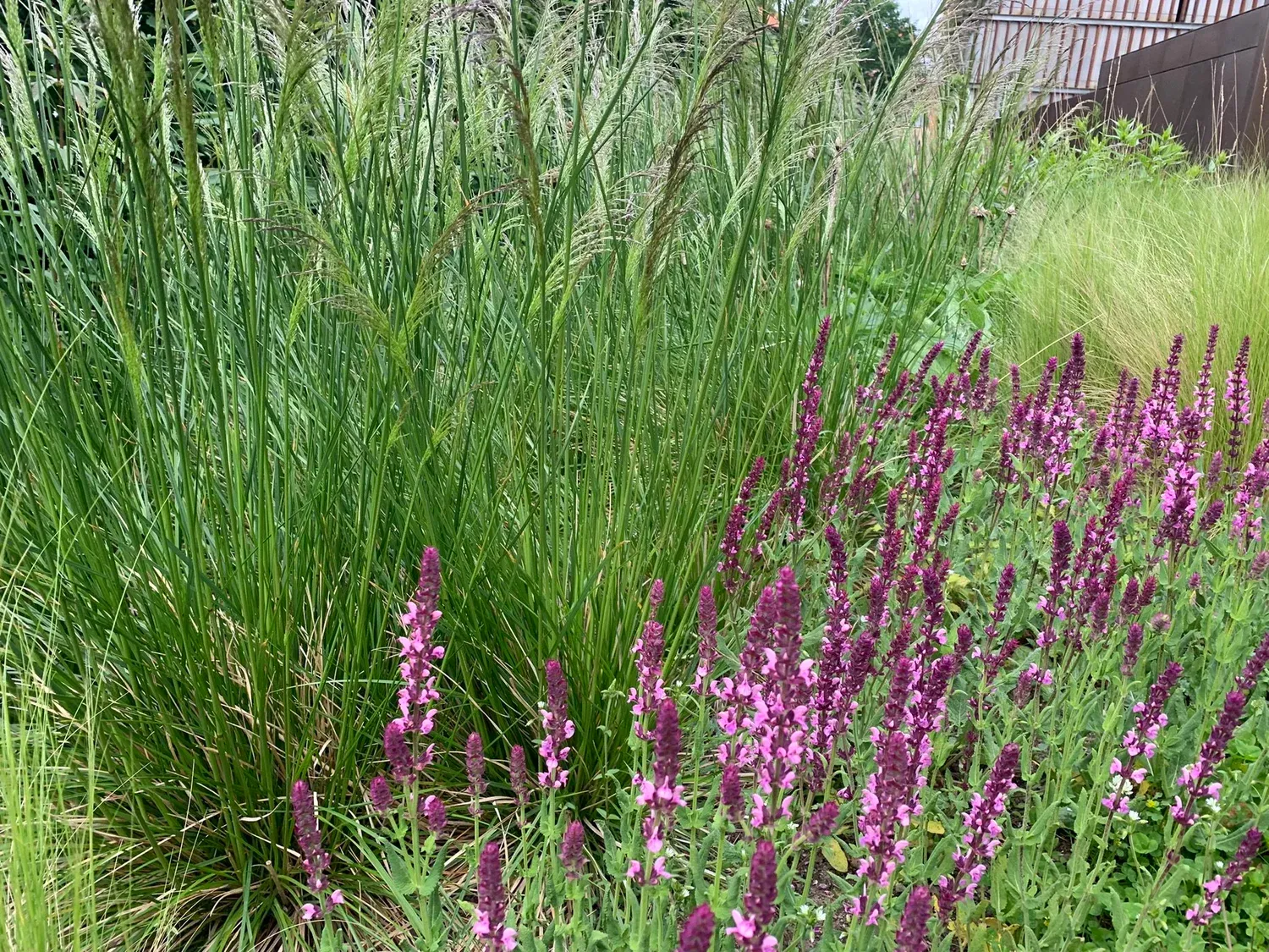 Værkstedet — eksperimentelt landskab