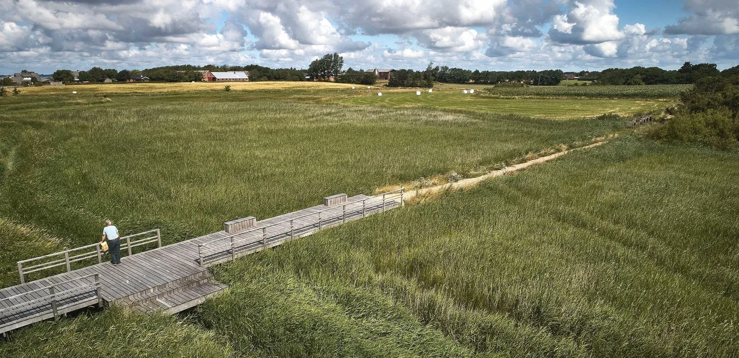 Detalje af brokonstruktion i egetræ med synlige samlinger