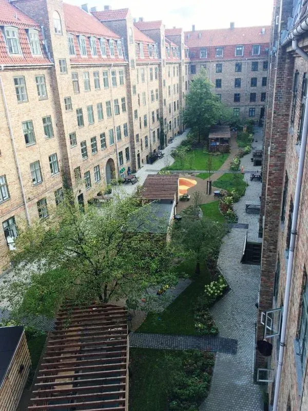 Regnbed med staudemix og synlig vandrende langs facaden